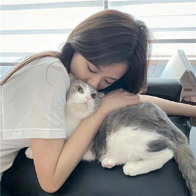 科搜研之女第23季